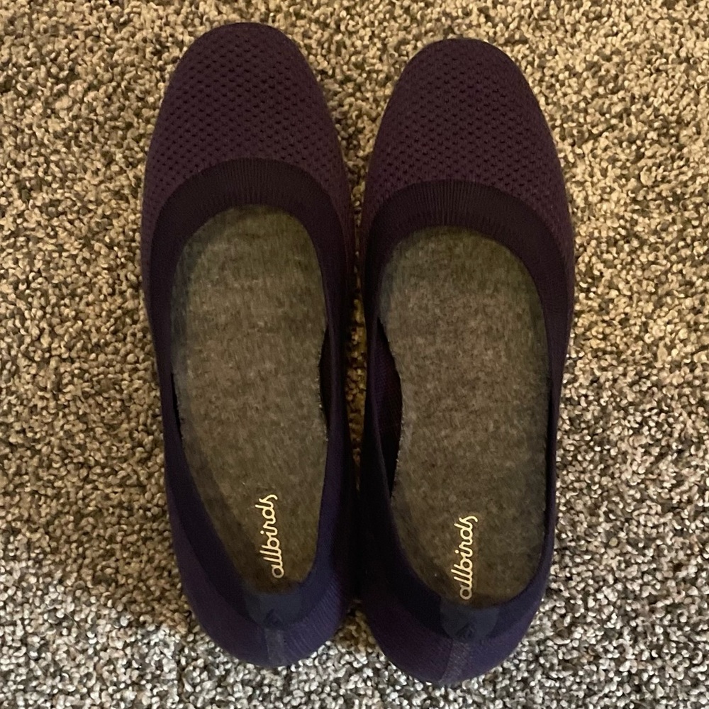 Allbirds tree breezers Savanna Dusk size 9.5